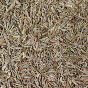 Shemin's Cumin Seeds