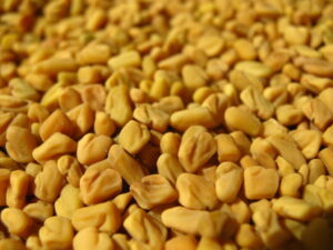 shemins fenugreek seeds