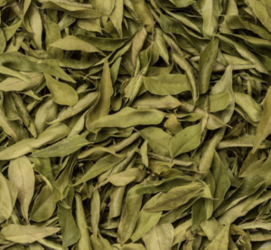 Shemin's Curry Leaves